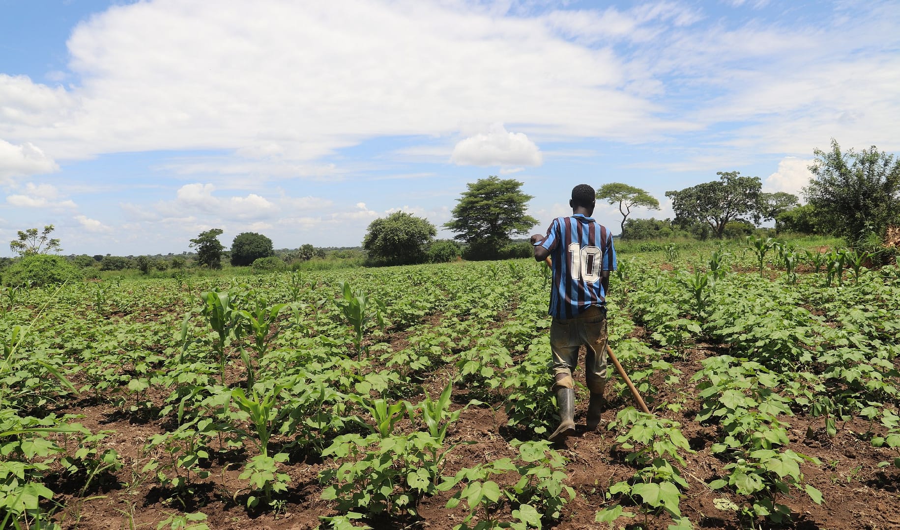 Improved Livelihood project