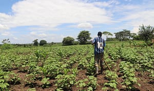 Improved Livelihood project