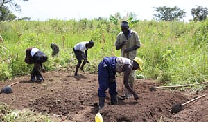 Improved Livelihood Phase 2