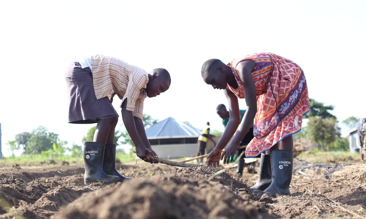 Agriculture and livelihoods project