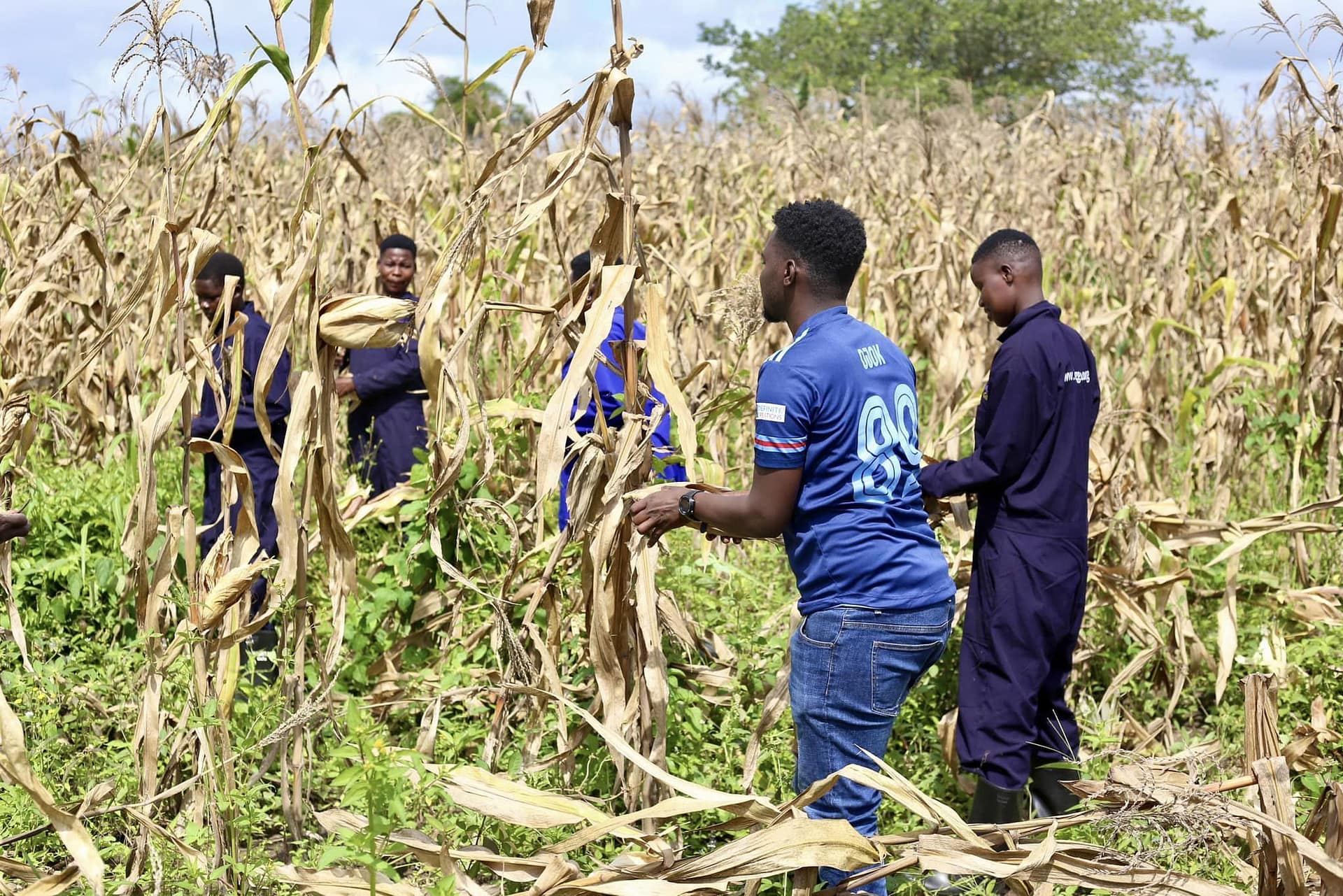 Farming Purpose